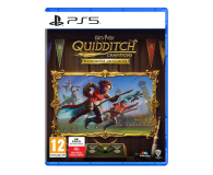 Gra PS5 PlayStation Harry Potter Mistrzowie Quidditcha Edycja Deluxe